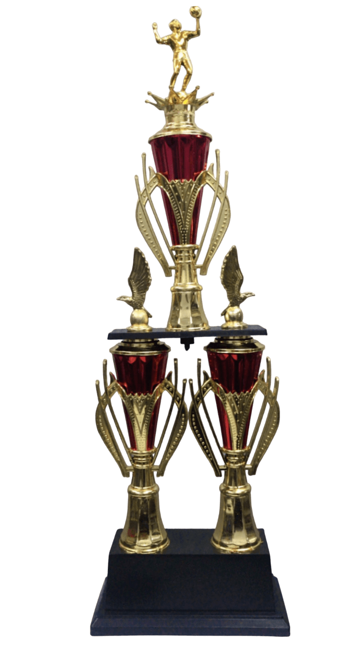 Piala Volly Dua Kaki